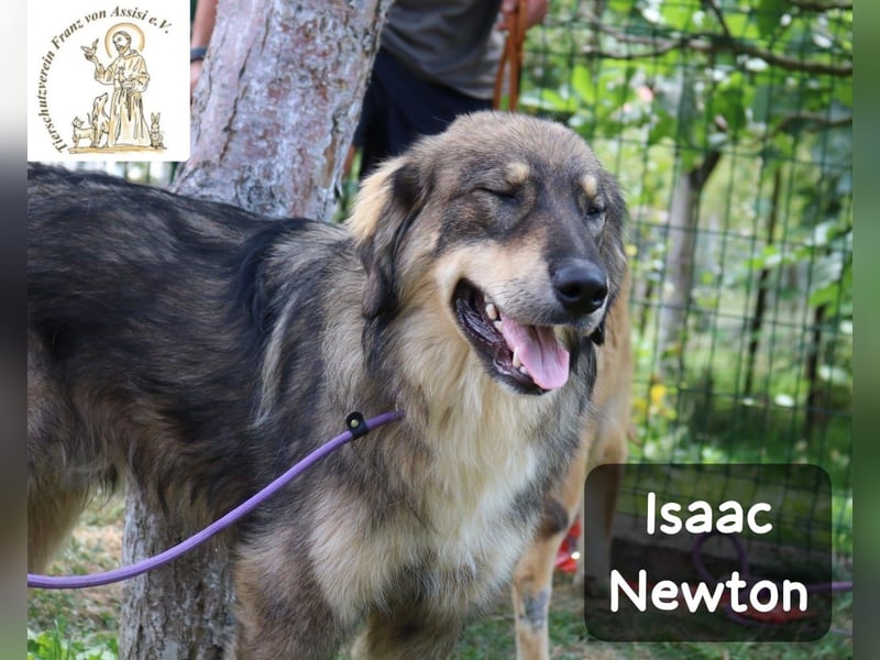 Isaac Newton – Abenteurer auf vier Pfoten!