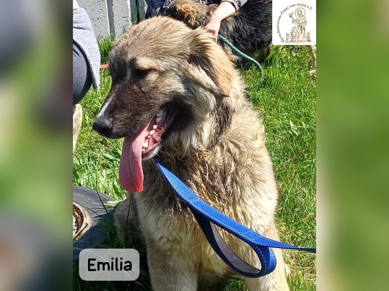 Emilia – mit Klarheit, Herz und Verantwortung durchs Leben!