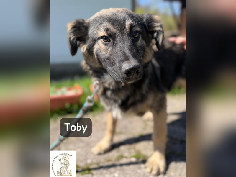 Toby hat Pläne … große!