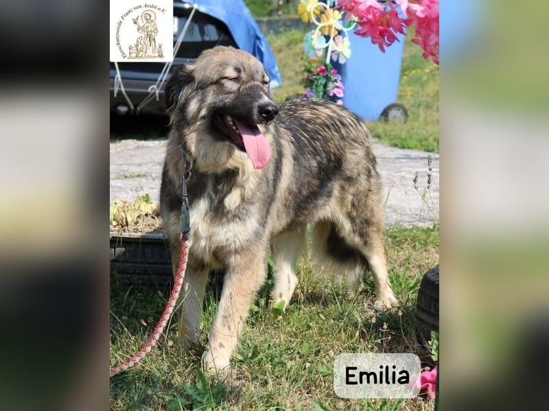 Emilia – mit Klarheit, Herz & Verantwortung durchs Leben!