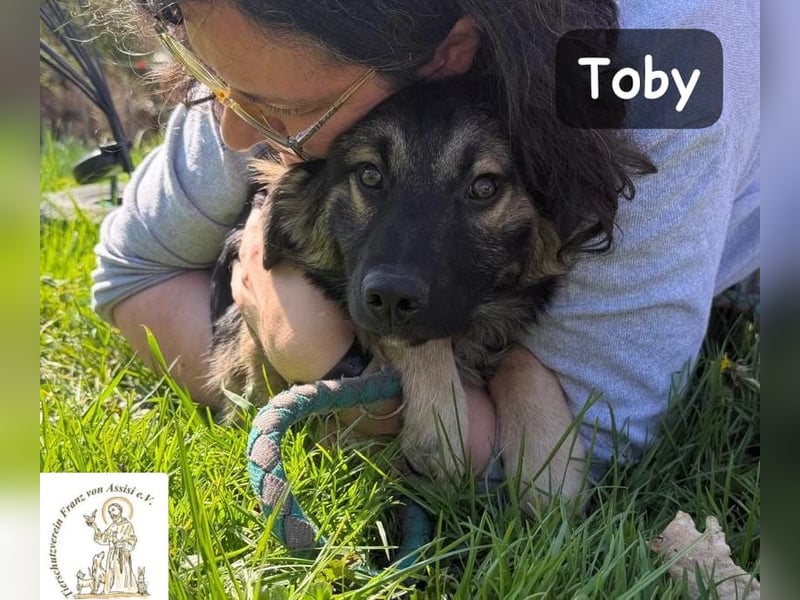 Toby hat Pläne … große!
