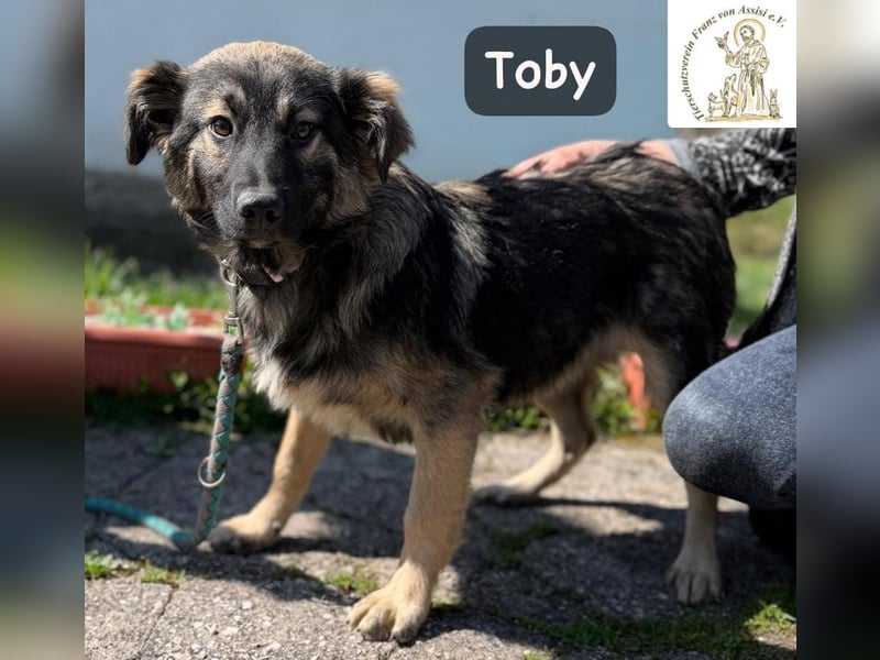 Toby hat Pläne … große!