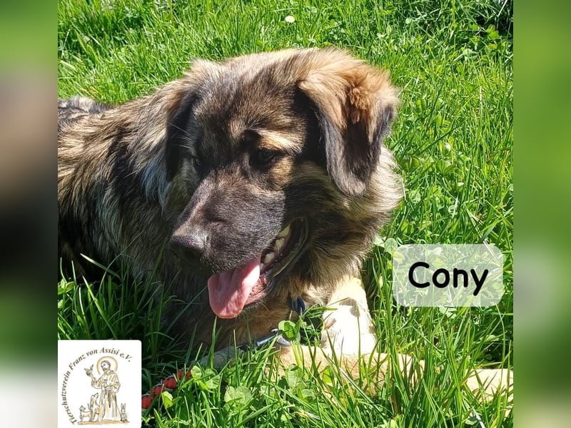 Cony – klug, klar, charakterstark!