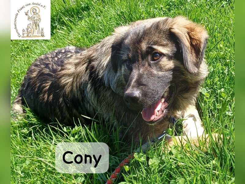 Cony – klug, klar, charakterstark!