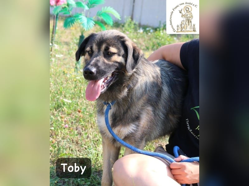 Toby – hat Pläne … große!