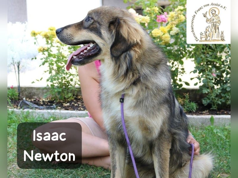 Isaac Newton – Abenteurer auf vier Pfoten!
