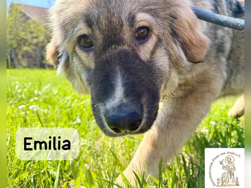 Emilia – mit Klarheit, Herz und Verantwortung durchs Leben!