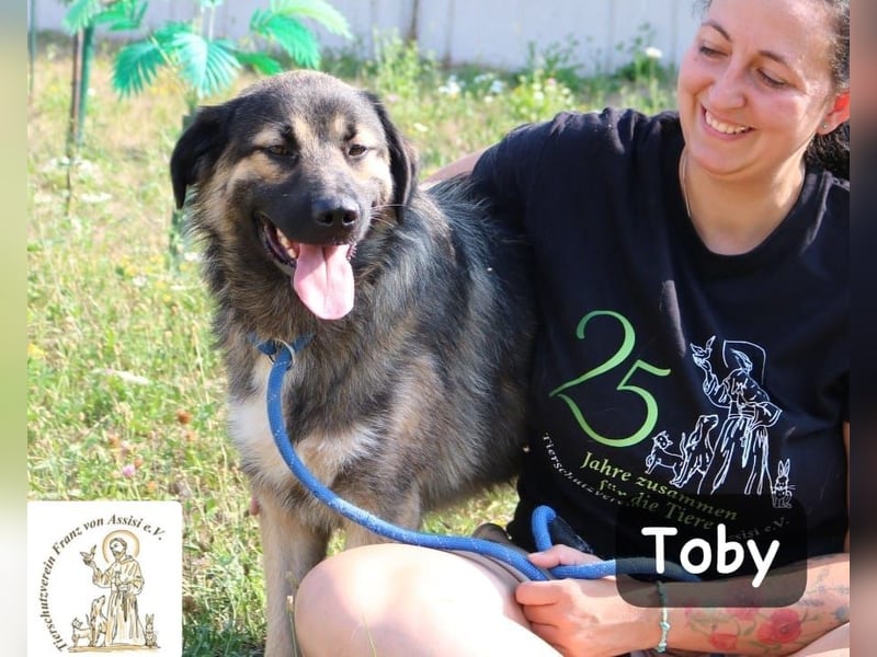 Toby – hat Pläne … große!