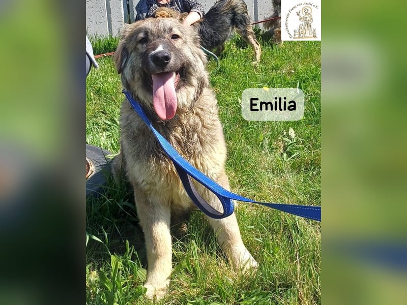Emilia – mit Klarheit, Herz und Verantwortung durchs Leben!