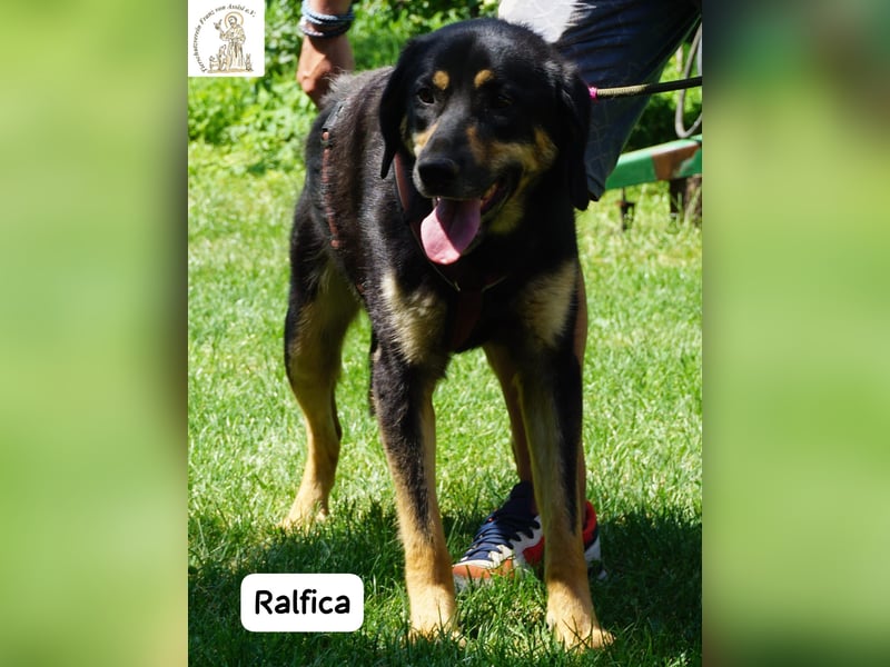 Ralfica – Manchmal braucht ein Herz nur den richtigen Menschen!