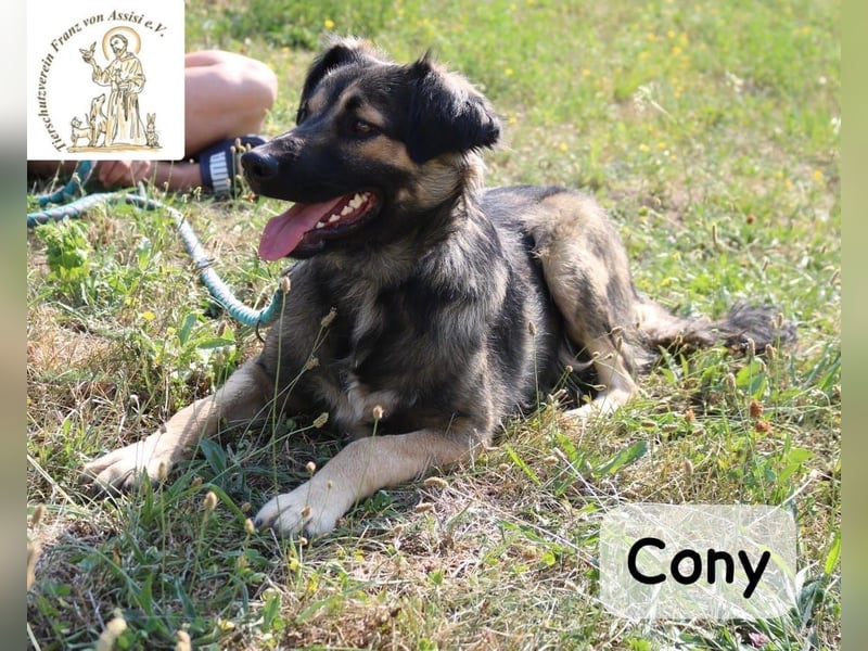 Cony – klug, klar, charakterstark!