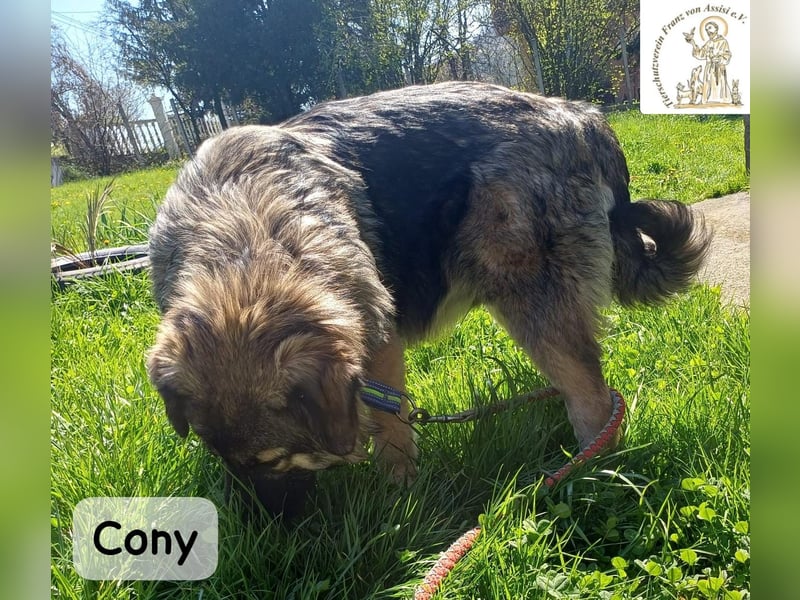 Cony – klug, klar, charakterstark!