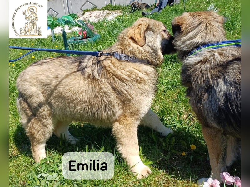 Emilia – mit Klarheit, Herz und Verantwortung durchs Leben!