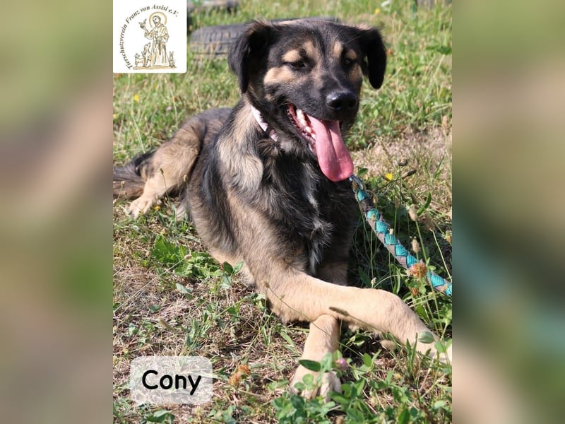 Cony – klug, klar, charakterstark!