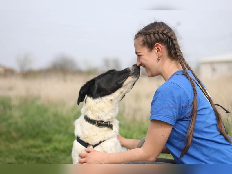Menschenbezogene Agnes sucht ihr Zuhause