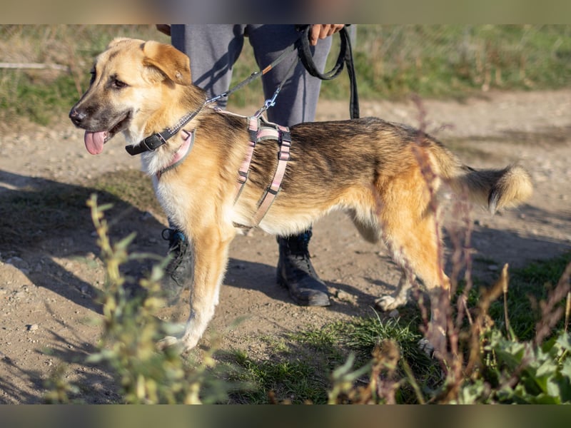 Aktive Stella sucht ihre Familie