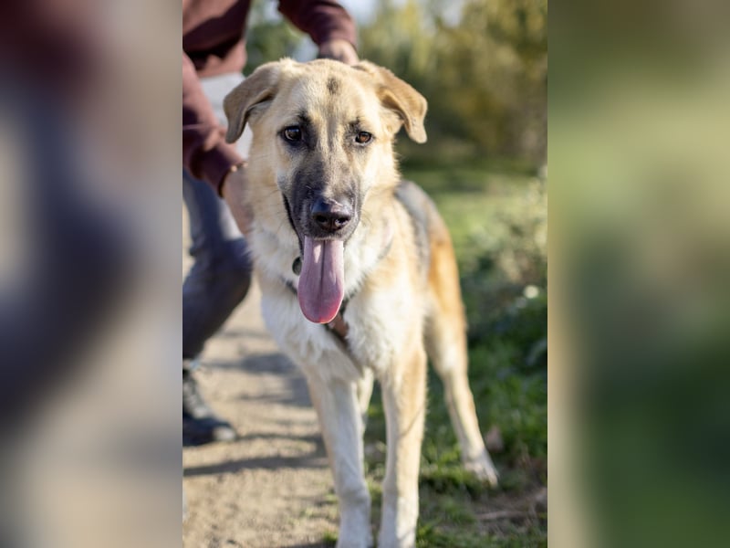 Aktive Stella sucht ihre Familie