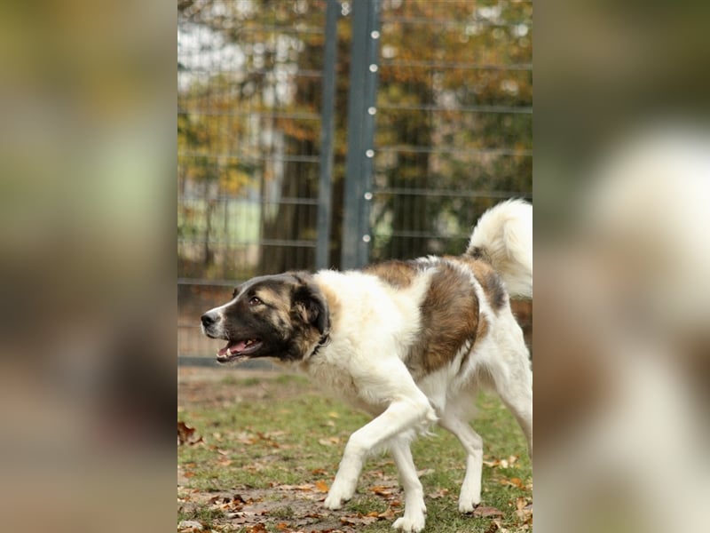 Wundervolle Betty sucht souveräne Menschen
