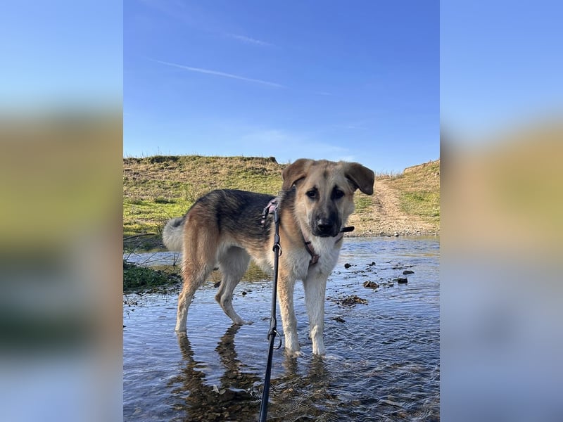 Aktive Stella sucht ihre Familie