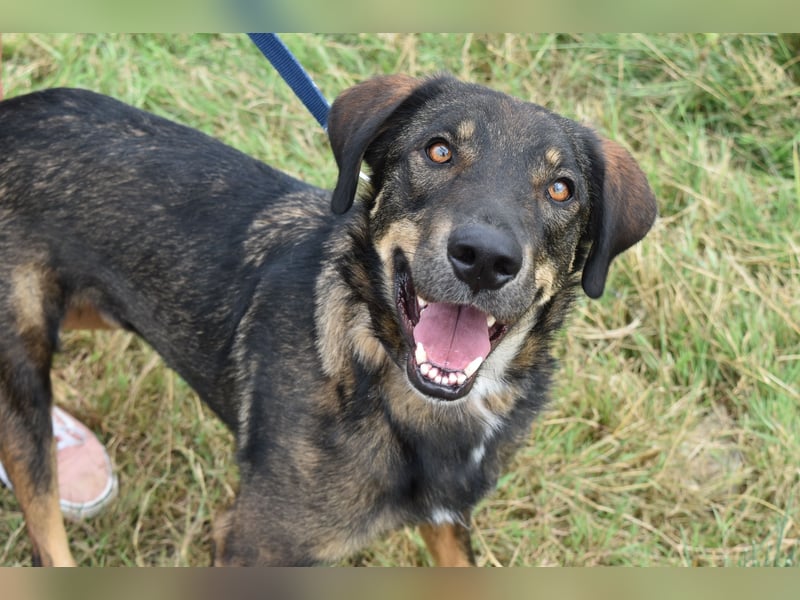 Fröhlicher Freddy sucht seine Familie