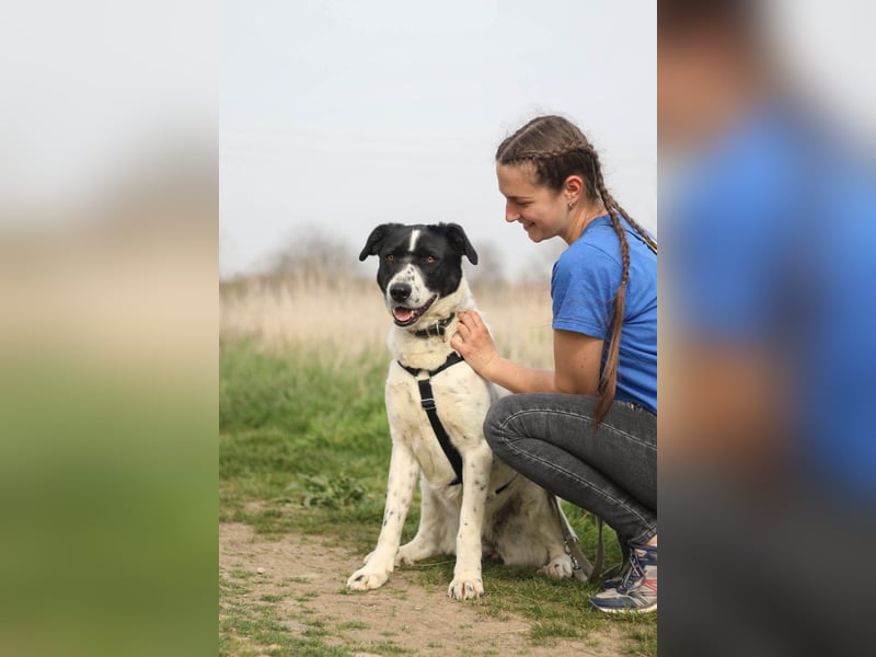 Menschenbezogene Agnes sucht ihr Zuhause