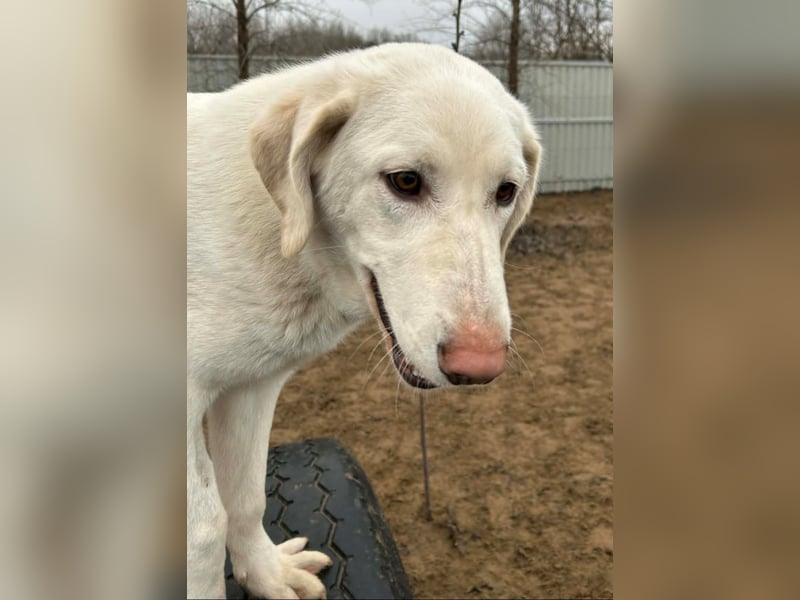 Cuki - darf ich bei dir sein ?