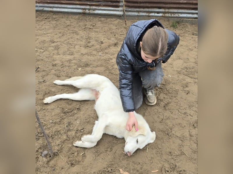 schöne Cuki sucht ihr Körbchen