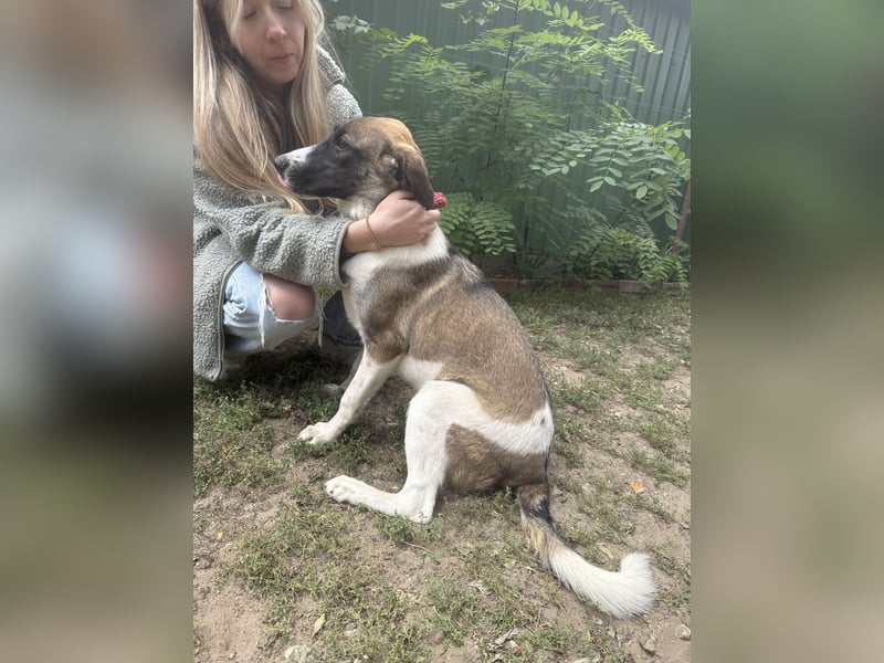 Hézöl möchte nicht länger warten