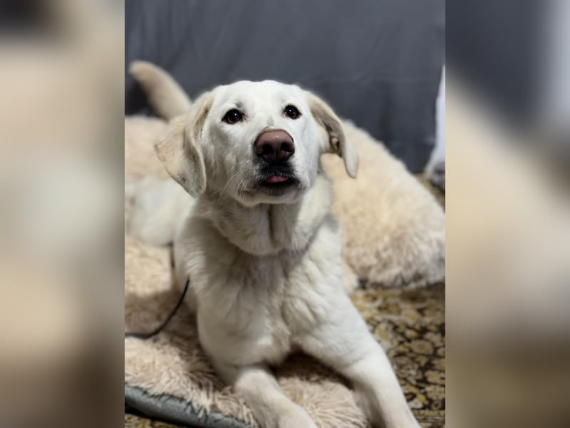 Cuki - darf ich bei dir sein ?