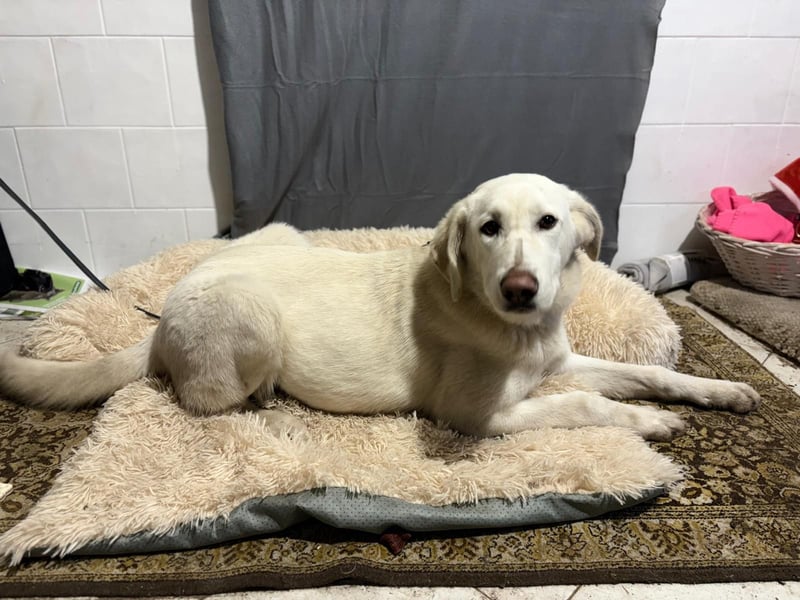 Cuki ist bereit für ihr neues Leben