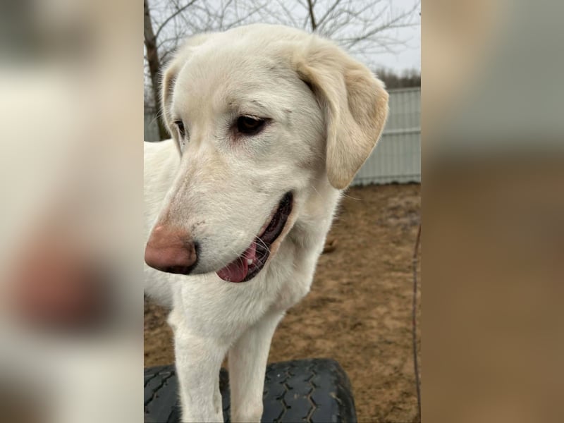 Cuki - darf ich bei dir sein ?