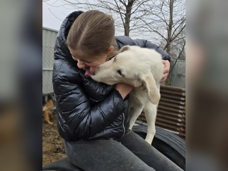 schöne Cuki sucht ihr Körbchen