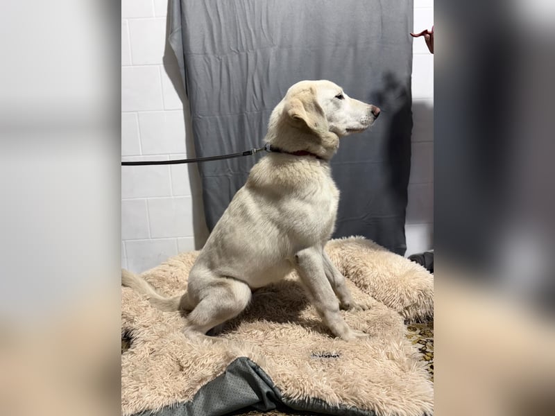 Cuki - darf ich bei dir sein ?