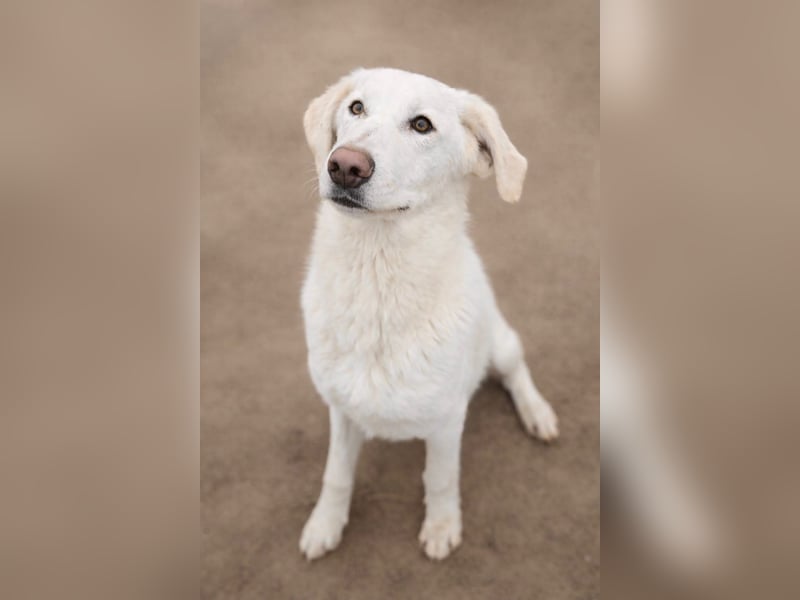 Cuki - darf ich bei dir sein ?