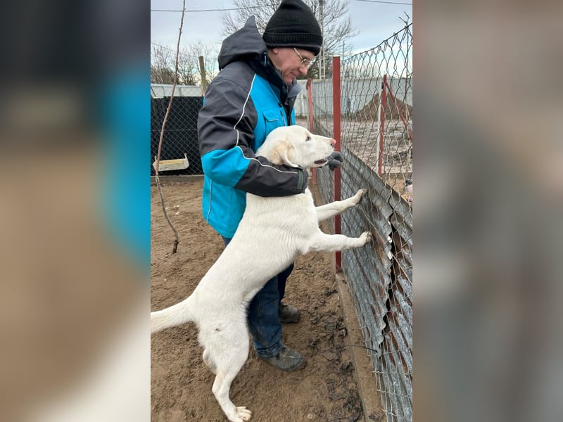 Cuki - darf ich bei dir sein ?