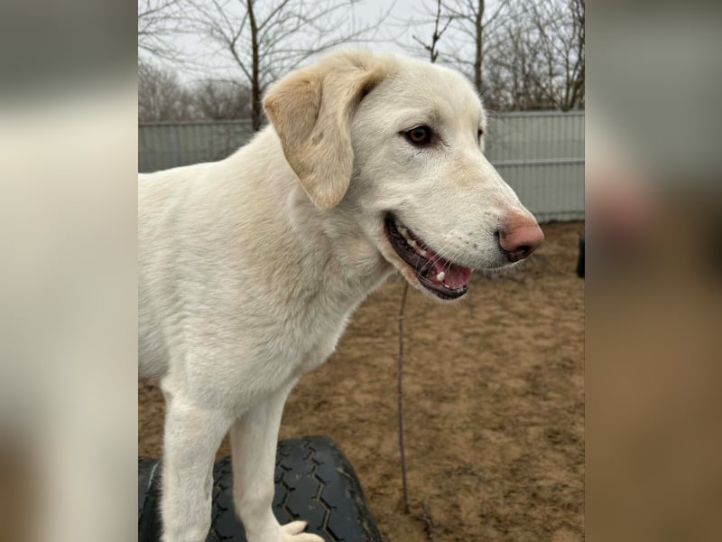 Cuki - darf ich bei dir sein ?