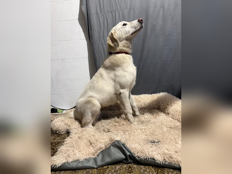 Cuki - darf ich bei dir sein ?