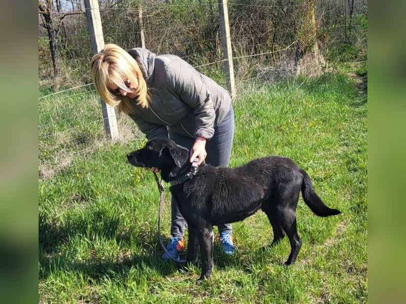 Darf Betyar noch einmal ankommen ?