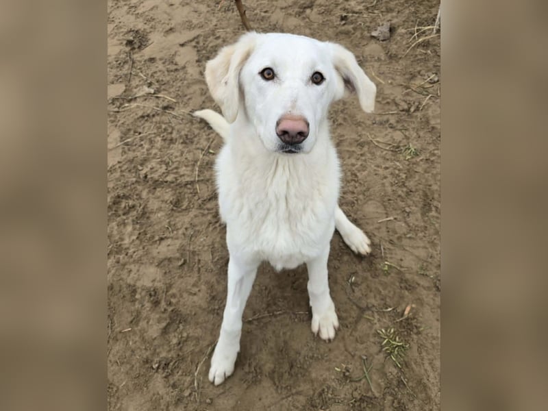 Cuki - darf ich bei dir sein ?