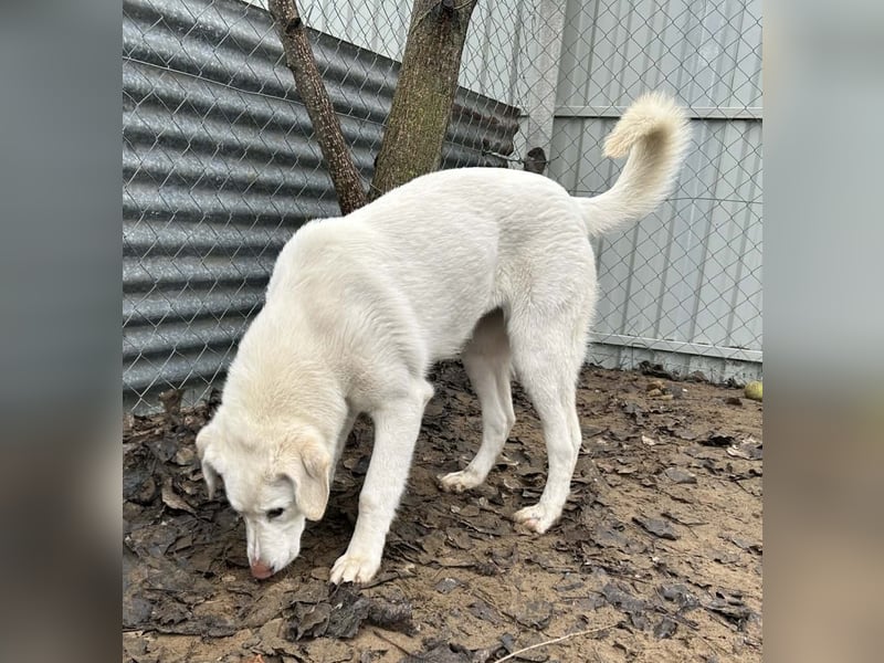 Cuki ist bereit für ihr neues Leben