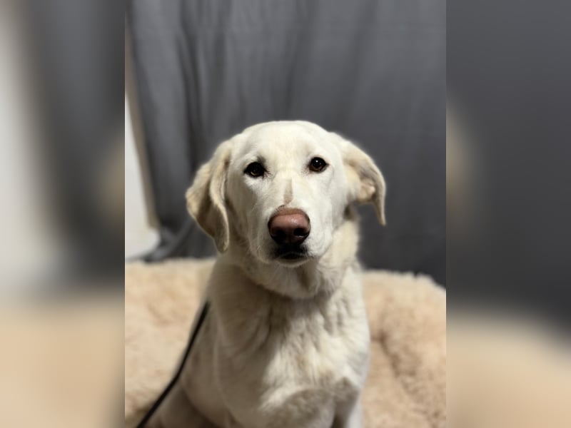 Cuki - darf ich bei dir sein ?