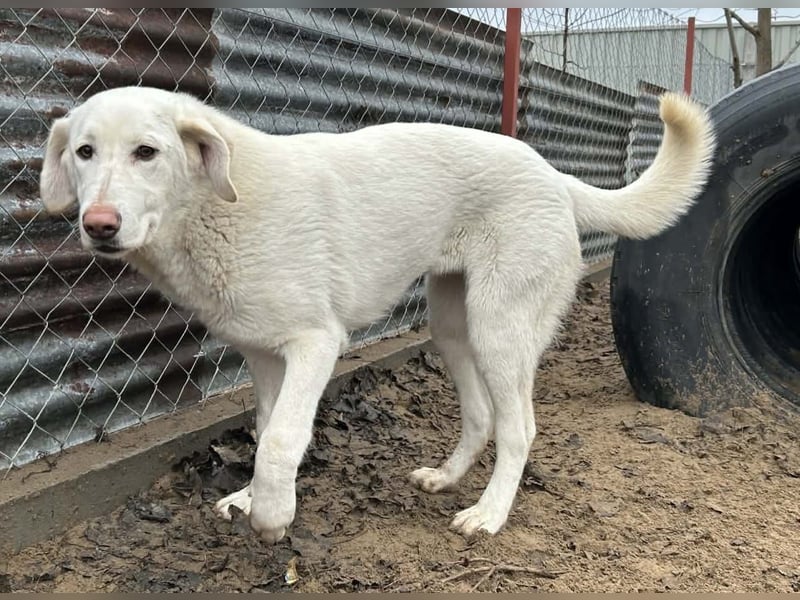 Cuki - darf ich bei dir sein ?