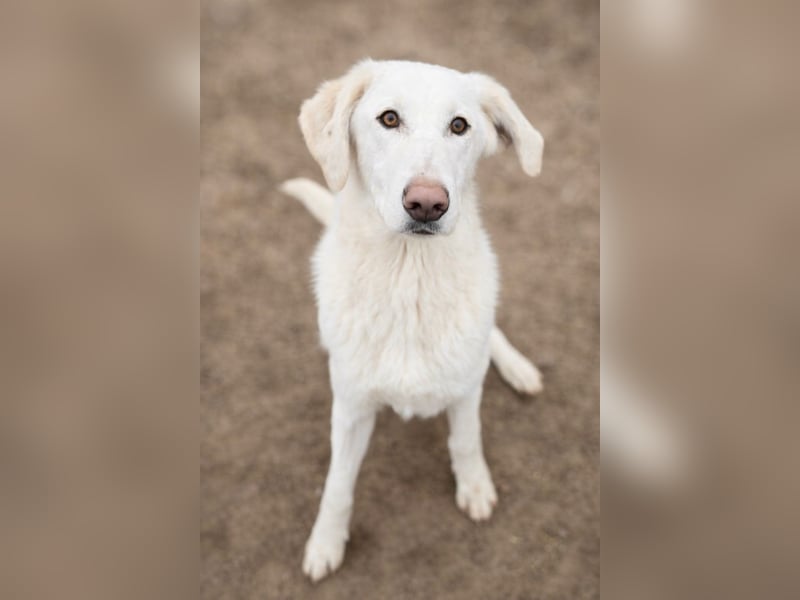 Cuki - darf ich bei dir sein ?