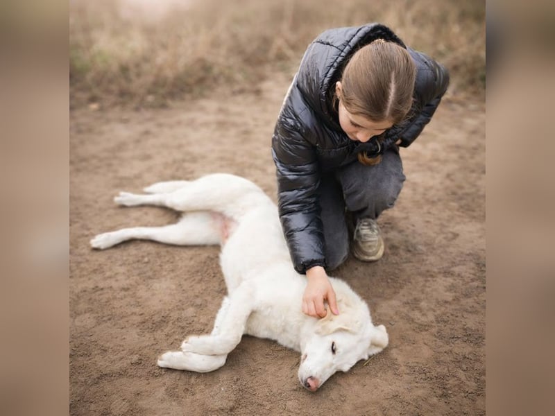 Cuki - darf ich bei dir sein ?