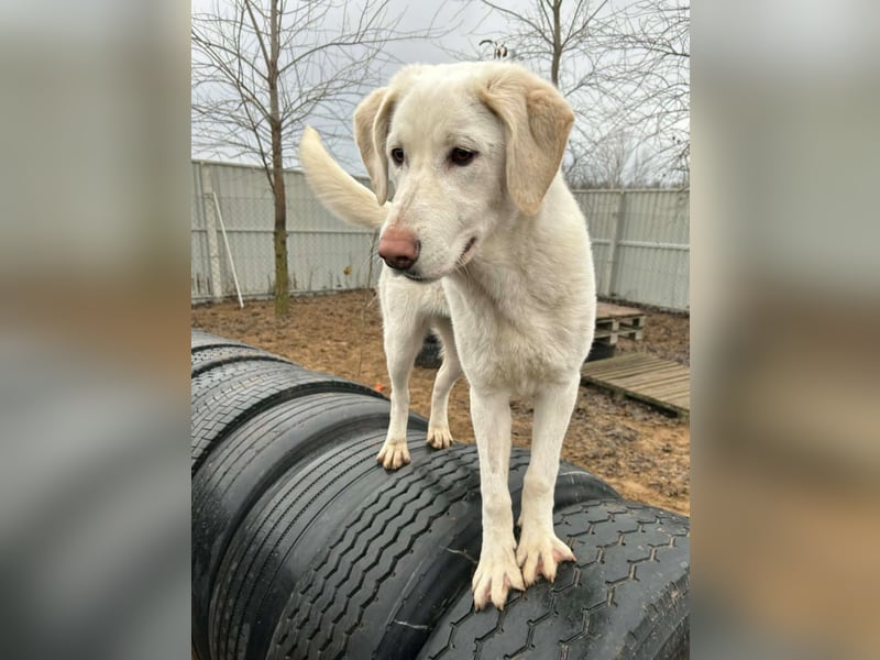 Cuki - darf ich bei dir sein ?
