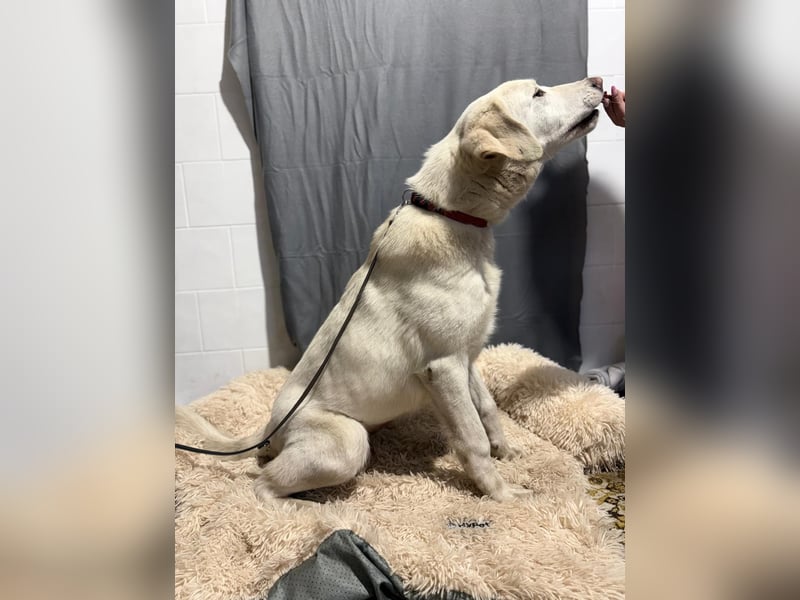 Cuki - darf ich bei dir sein ?