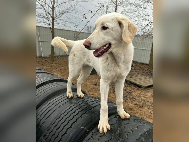 Cuki - darf ich bei dir sein ?