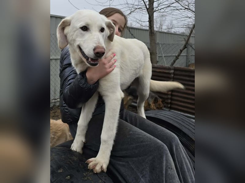 schöne Cuki sucht ihr Körbchen