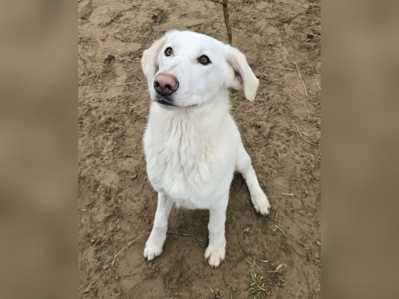 schöne Cuki sucht ihr Körbchen