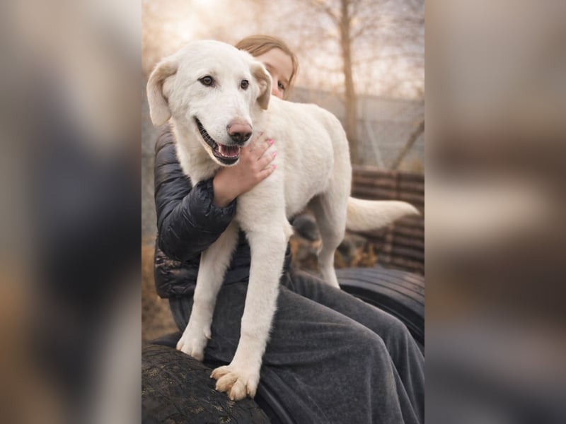 Cuki - darf ich bei dir sein ?